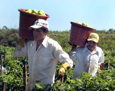 45777.6a00d83451b05569e20120a5a3bf96970b-pi