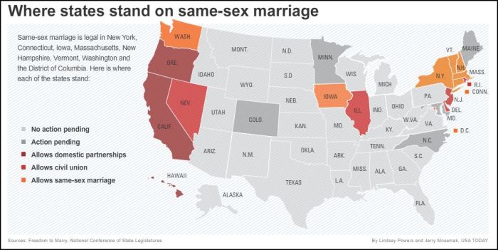 USAGayMarriagegraph