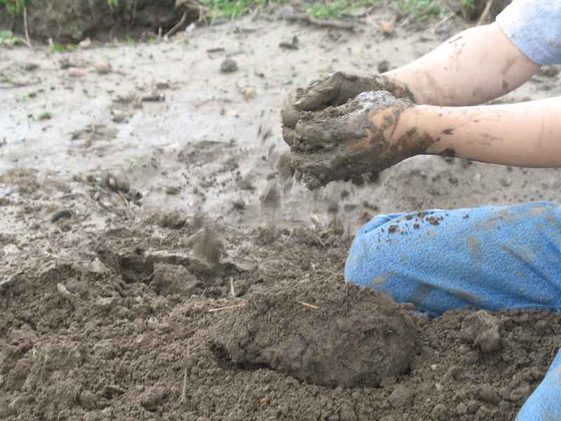 6a00e54f8bcd4e883300e550171a068833-800wi