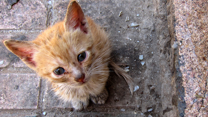 Reuters / Lucy Nicholson