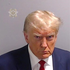 Donald Trump's mugshot.
